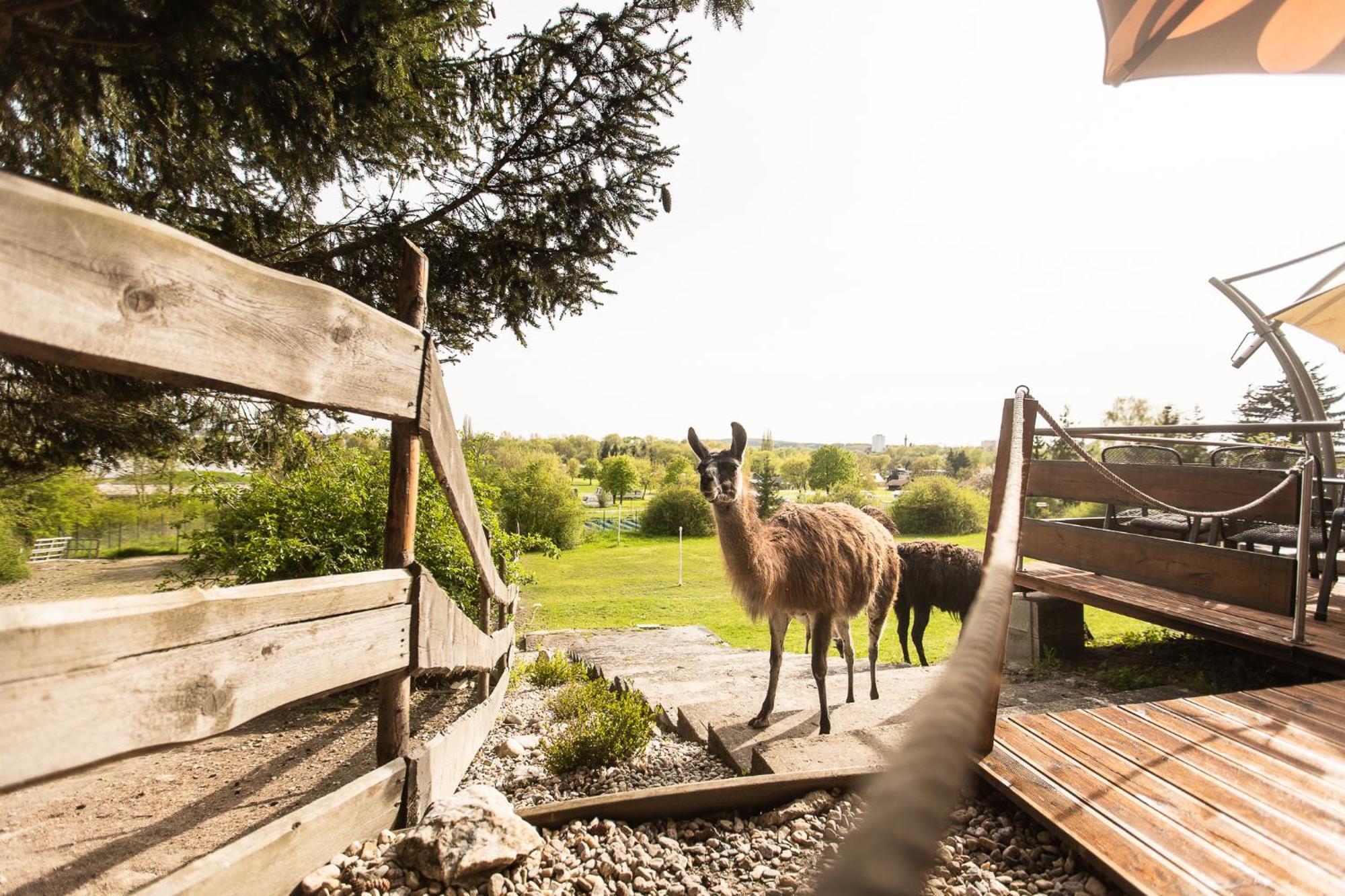 Hotel Rozkos Ceska Skalice Luaran gambar