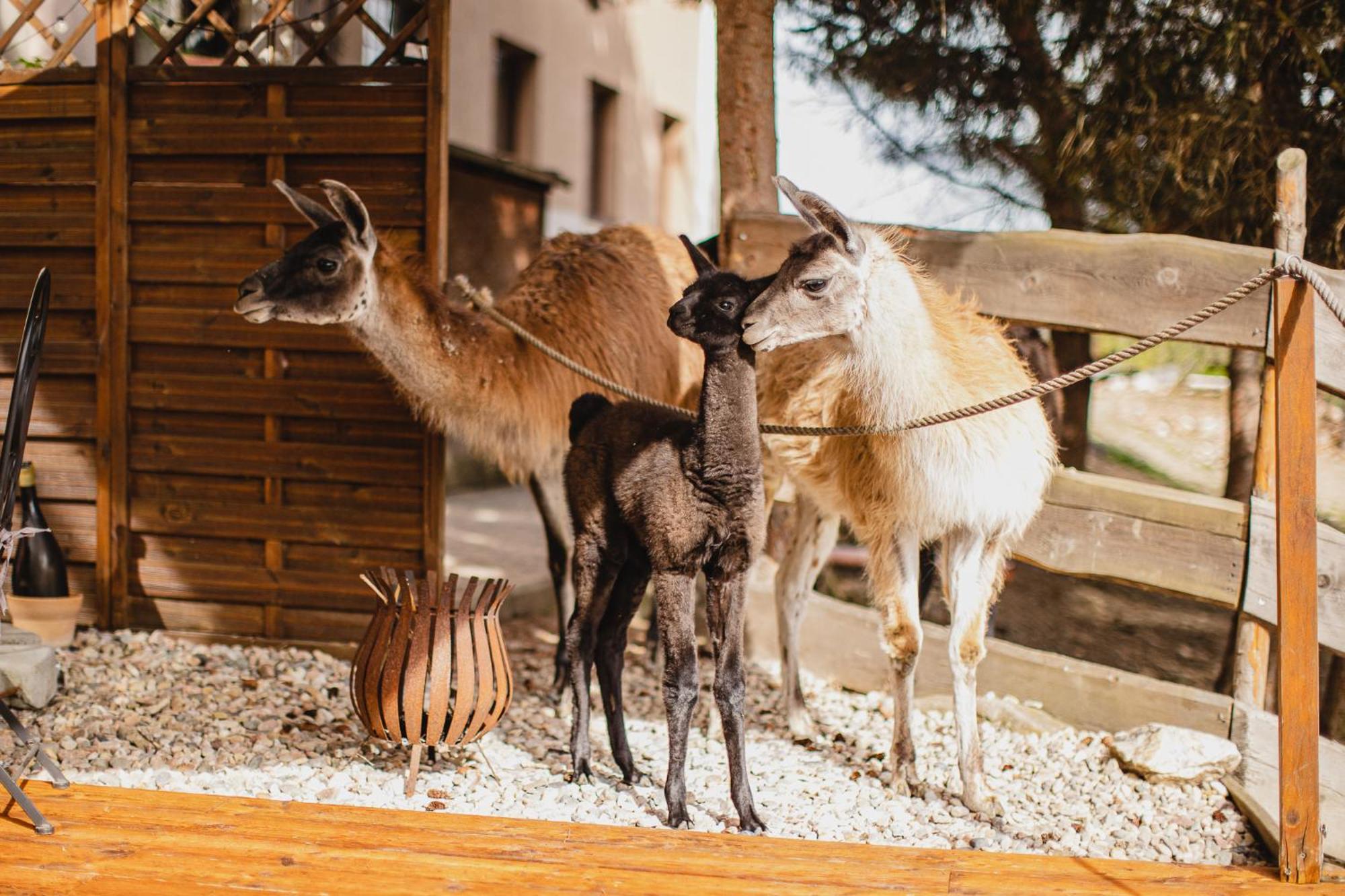 Hotel Rozkos Ceska Skalice Luaran gambar